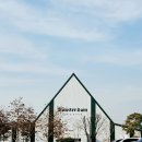 뮌스터담 이미지