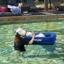 우쭈쭈 내강아지 | 수속성 강아지라면 꼭 한번 가야 할 그곳! 강아지숲 네이처풀