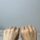 퍼플리쉬