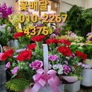 강북화원