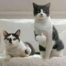 영서미용실