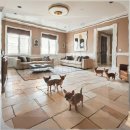 말티와푸들이사는집 | 스탠다드푸들 입양 장기적 준비 없이 시작했다가 의정부 강아지보호센터에서 배운 것들