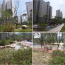 세종코퍼레이션주 이미지