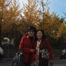 청파초등학교 이미지