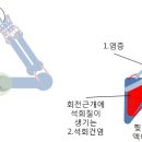 33 (투수의 부상) 어깨 안 물주머니의 염증 `활액낭염` 이미지