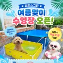 퍼피스 | 대전 애견카페 퍼피스그린 | 강아지 보리와 다녀온 송정동 애견운동장 (수영장 / 견종별 분리 / 최신...