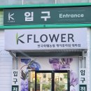 농협본점 | 고양 일산 대화역 근처 꽃집 추천 한국화훼농협(K-FLOWER) 본점 후기 셀프 부케 주차장