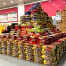 파워태권도장 이미지