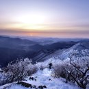 보림사 - 1223 | 보림사