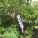 산동면 월산마을 이미지