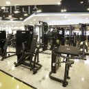 아라 휘트니스 이미지