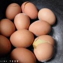 맥반석 김 이미지