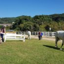 멜버른 승마 이미지