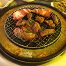 고고투어 이미지
