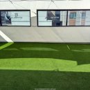 위드왈왈 이미지