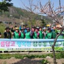 태백운전면허시험장 이미지