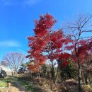 다온공인행정사 이미지