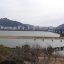 하구둑교차로 Daum카페
