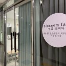 블라썸페이스(blossom face)