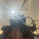 화룡점정