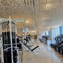 도미디 피트니스 | 드디어 왔다! 광교 헬스장 핫플 도미디 피트니스 1개월 컷 후기