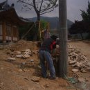 배나무민박 이미지