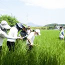 문학3리 마을회관 이미지