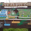 청송캠핑장 이미지