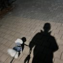 앨리스동물병원 | [강아지 일상] 건숑이와 함께하는 소중한 일상들(5)