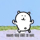 다있소유통 이미지