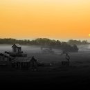 안선목장 이미지