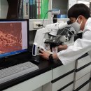 명품과일 이미지