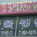 세브란스동물병원 이미지