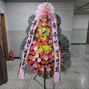 극동건축사사무소 - 완도군 청해진남로 39 | 극동건축사사무소