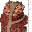 경희오행복한의원 이미지