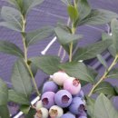 해룡농장2 이미지