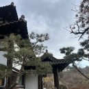 증안지길 이미지