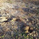 노루마당 이미지