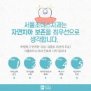 초이스치과의원 네이버블로그