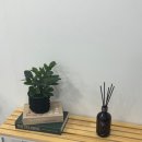 세븐일레븐대전월평원룸점 | 대전속눈썹펌 잘하는 곳 플룸뷰 속눈썹펌 후기