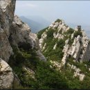 양지-3516 이미지