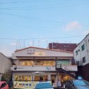 미미에토 | 연희동 반려견동반카페::미미에토 방문후기!(내돈내산)