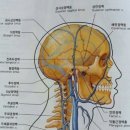 수기테라피연구소