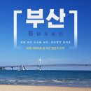 디지털 미디어와 떠나는 교과여행 | 2026 빅데이터로 본 부산 변화, 관광 허브 도시를 넘어 청년이 머무는 도시로