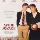 와이드어웨이크(wide-awake)