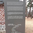 방학동 은행나무 이미지