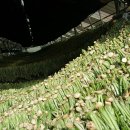 참 좋은 농장 이미지