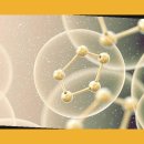 주식회사 천도 이미지