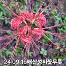 배산성지 이미지