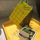 가야농약사 이미지